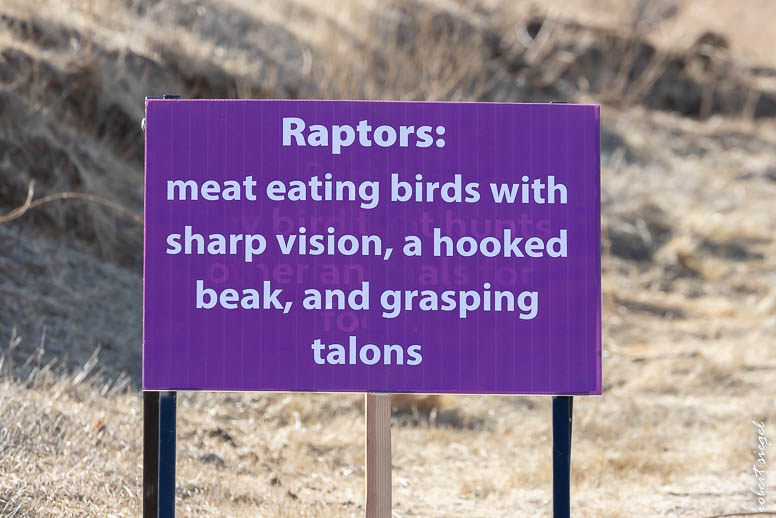 Raptor Fest 2024